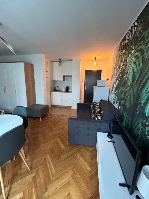 Klimatyczne Gniazdko Przy Rynku Apartment Вроцлав Екстериор снимка